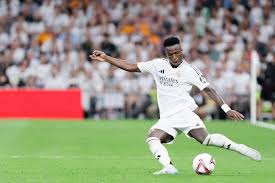 无疑为奥利 无疑为奥利